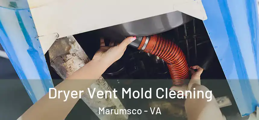 Dryer Vent Mold Cleaning Marumsco - VA