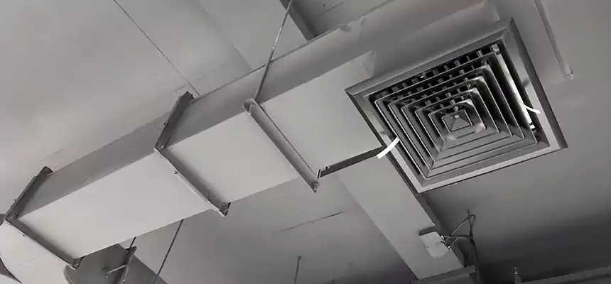 Restorative Allergy Relief Vent Cleaning – Coil, Blower & Housing Detail in Marumsco