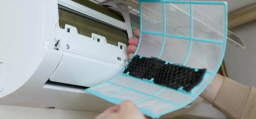 Gentle Ductwork Odor-Control Pet Dander Duct Cleaning in Marumsco, VA