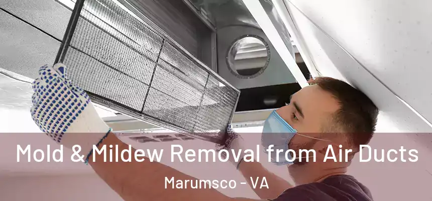  Mold & Mildew Removal from Air Ducts Marumsco - VA