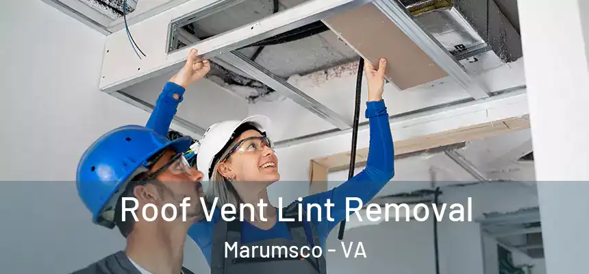  Roof Vent Lint Removal Marumsco - VA