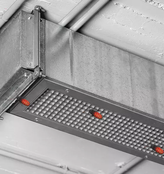 About Air Duct Cockroach Removal in Marumsco, VA