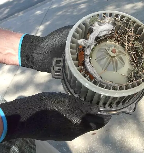 About Air Duct Mice Removal in Marumsco, VA