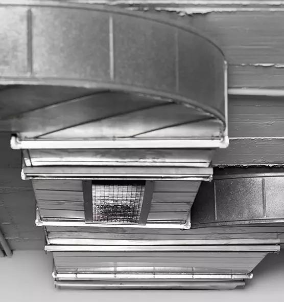 Professional Air Duct Pest Removal in Marumsco, VA