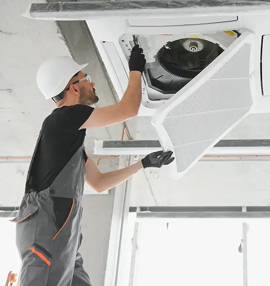 About Air Duct Rodent Removal in Marumsco, VA