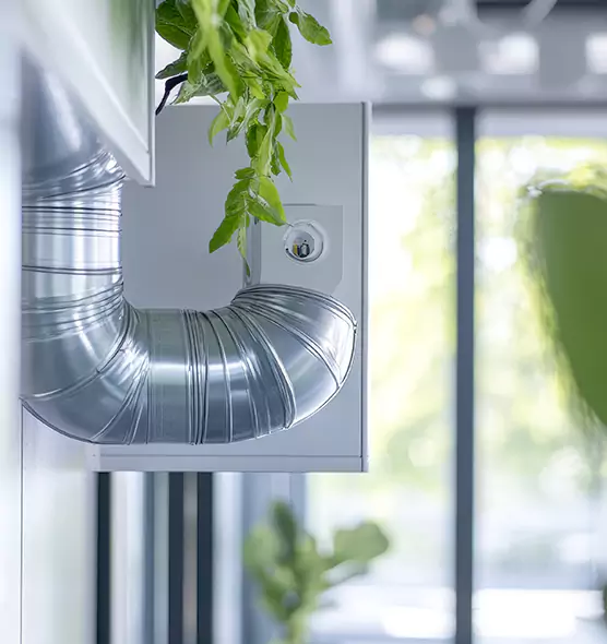 Professional Eco-Safe Dryer Vent Cleaning in Marumsco, VA