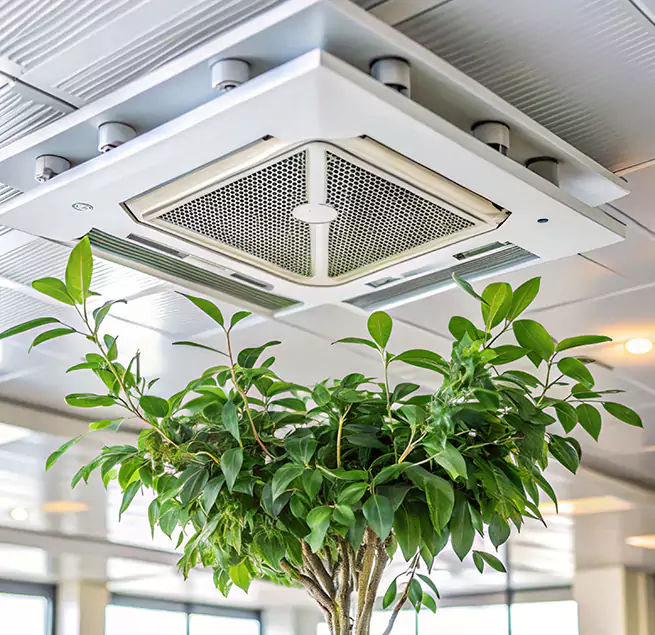 Why Homeowners & Businesses Trust Us in Marumsco, VA?