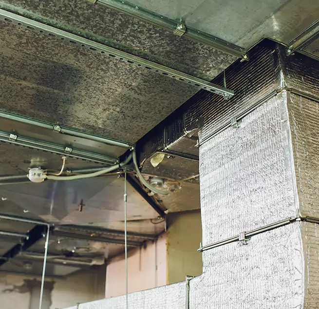 Why Homeowners & Businesses Trust Us in Marumsco, VA?